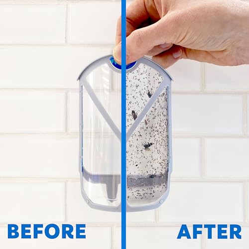 Zevo Flying Insect Trap, Fly Trap, Fruit Fly Trap (2 Plug-in Bases + 2 Refill Cartridges) - Image 8